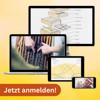Online-Imkerkurs 2026