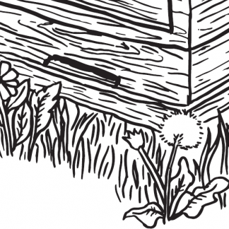 Paket mit Ausmalbildern (Download)