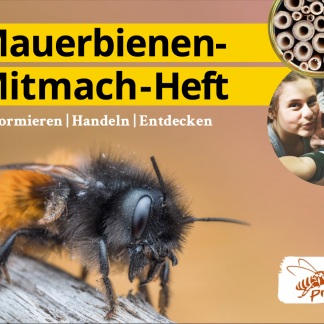 Mauerbienen-Mitmach-Heft