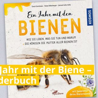 Ein Jahr mit den Bienen - Buch für Kinder