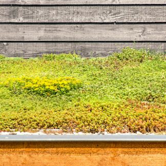 Kleine Dächer begrünen plus Photovoltaik? Mini-Workshop-Reihe, 02.-06.02.2026 (online)