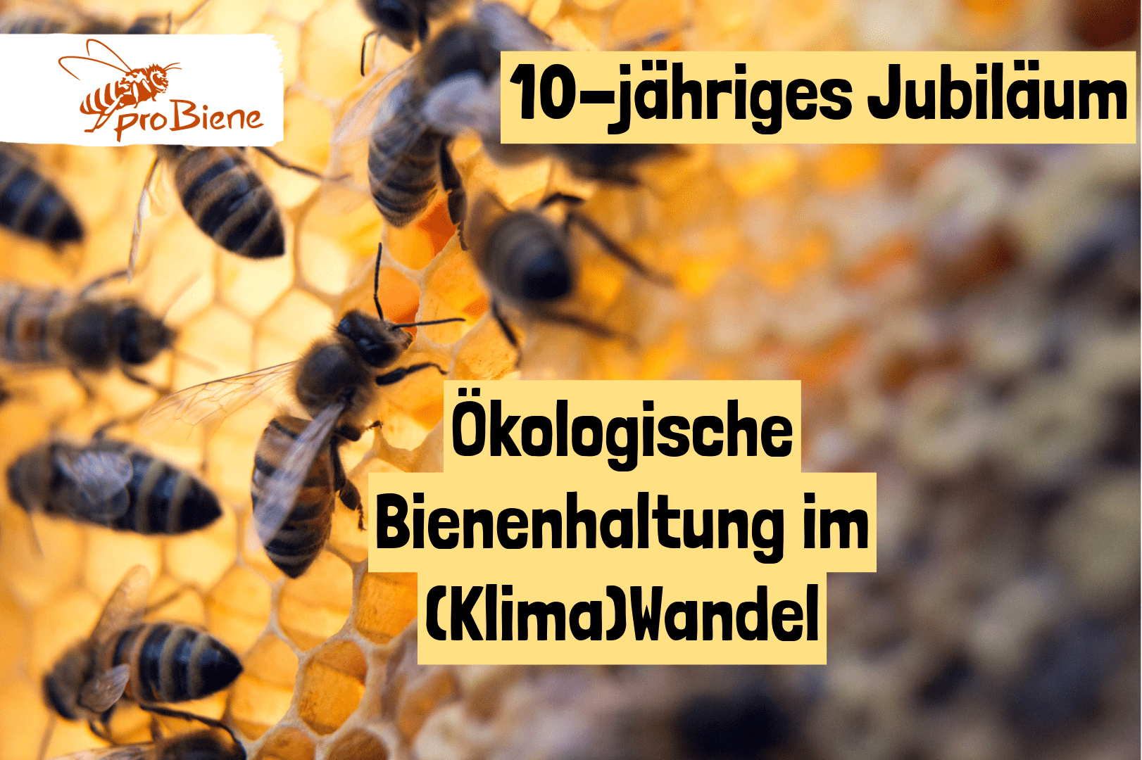 Jubiläumskurs 2026: Ökologische Bienenhaltung im (Klima)Wandel