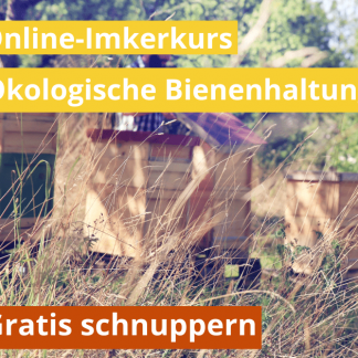 Schnuppern im Online-Imkerkurs